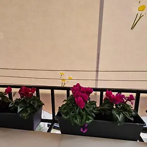 Center Apartment Tirana